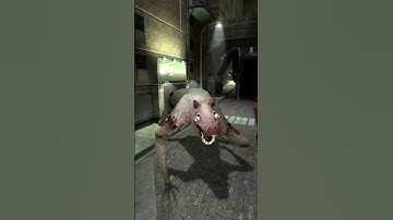 Comparison Animals Zoochosis Monsters VS Poppy Playtime 3 Family in Gmod ! Choose Your Favorite #zoo