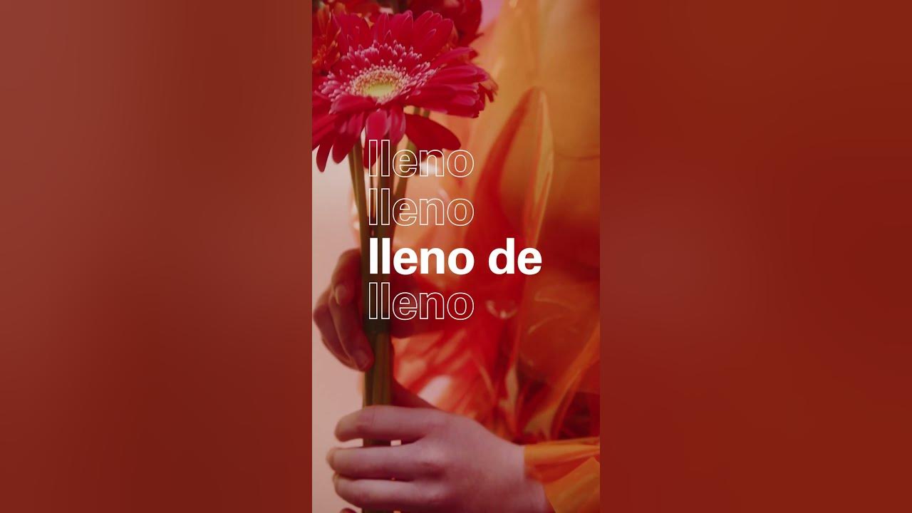 ¡Floristas, por fin es viernes! #shorts #chile #flores