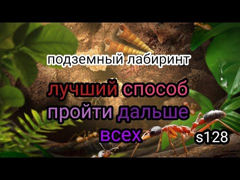 the ants underground kingdom подземный лабиринт в подземной пещере пройти дальше всех
