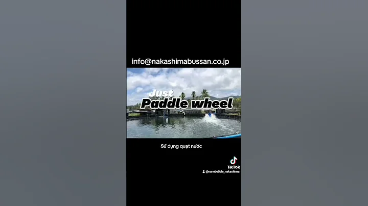 Fine bubbles application for nursery stage of Vannanmei shrimps