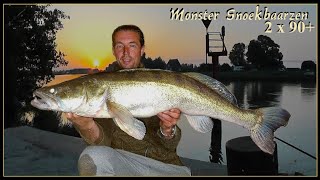 Download Lagu SNOEKBAARS VISSEN MET DOOD AAS 2025  - UITLEG hoe statisch te vissen met dood aas! #94 MP3