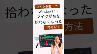 マイクが音を拾わなくなったときの対処方法（Windows 11）