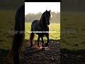 God Is Strong in Your Weakness | Trust His Power #trustgod #faith #christianshorts