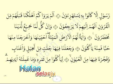 QS Yaasiin - yasin ayat 1-83 dibaca cepat