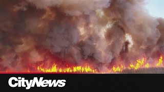 Wildfire smoke drifts into GTA