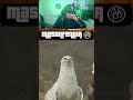 Highwing, Half Horse, Half Bird, 100% Sass! | #masonfenrirttv on #Twitch