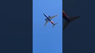 Guess the departing plane #planespotting #plane #plen #airplane #avgeek #aviation #southwest #travel