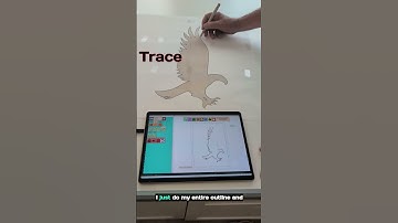 Trace an eagle outline, save a DXF file for loading into Lightburn #lightburn #cnccutting #cnclaser