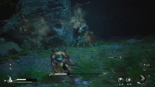 Black Myth Wukong glitch
