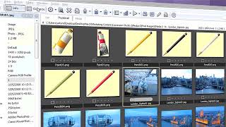 Microsoft Expression Media 2: 01 Effortless Organization