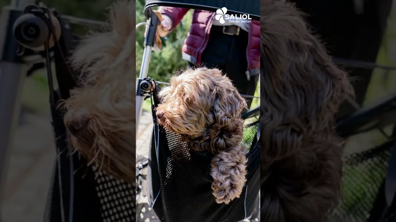 Saljol Aluminium Rollator | perfekt für Stadt und Land