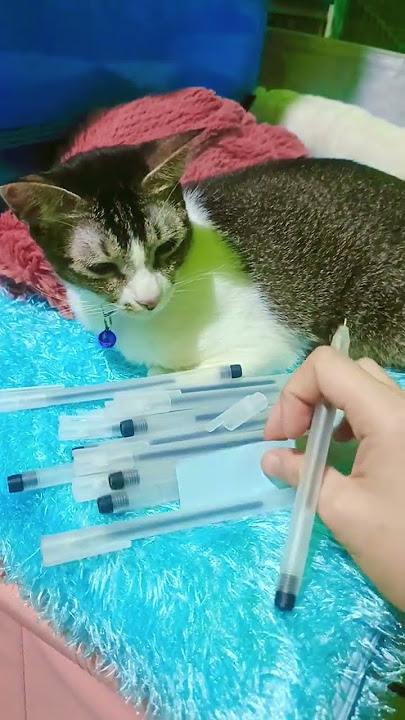 https://vt.tiktok.com/ZSrUYE2Ax/