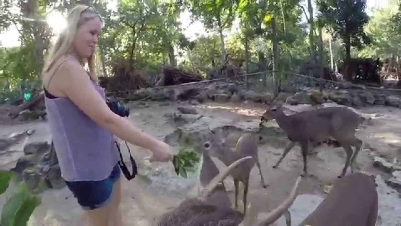 Mexico Adventures: Crococun Zoo