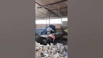 #labh_trading_company #shortvideo #viral #interlock #tile #sirsa #haryana