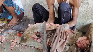 Big Eel Fish Cutting Skills In Fish Market ,2023 By Expert Man At a Knife Fish Slicing