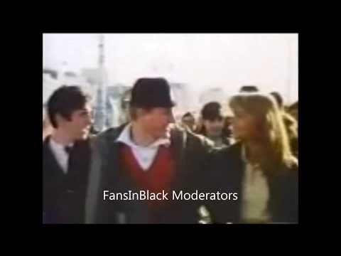 We Are The Mods