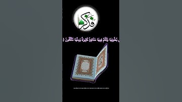 تلاوة عطرة من صلاة العشاء (٤ شعبان ١٤٤٥)