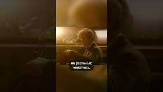 На кого похож Нюхлер? #shorts #гаррипоттер