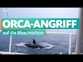 Orca-Angriff vor Spanien | Weltumseglung mit der Blue Horizon 2 | WDR Reisen