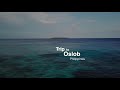 Trip to Oslob 🇵🇭 to swim with the whale sharks 🦈