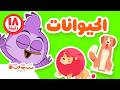 حيوانات للأطفال الحيوانات الأليفة والمفترسة 18 دقيقة ستوتة   
