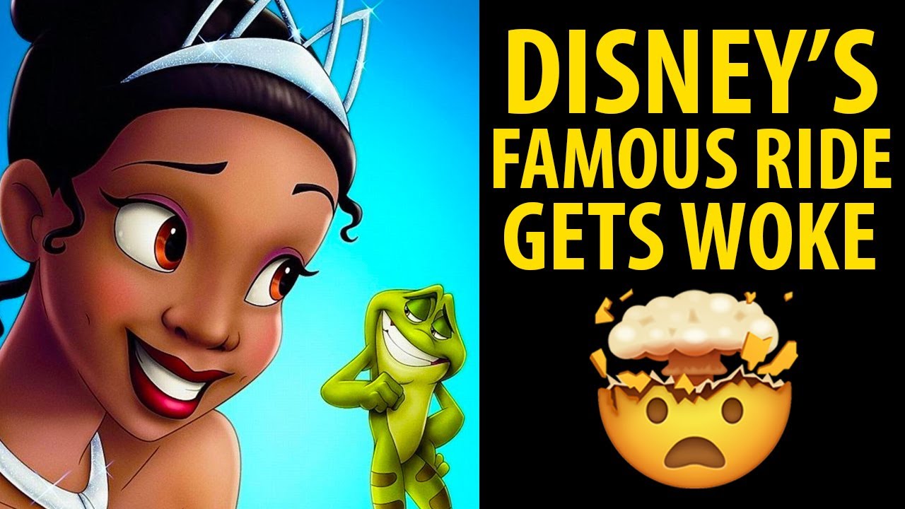 Disney Replaces Splash Mountain Ride with Minority Princess Theme👸