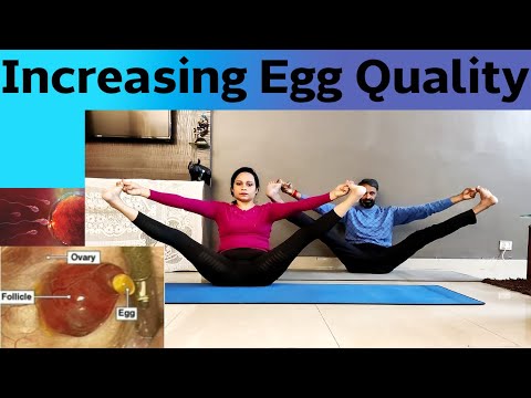 वीडियो: पीसीओएस होने पर अपने अंडे की गुणवत्ता में सुधार कैसे करें: 14 कदम