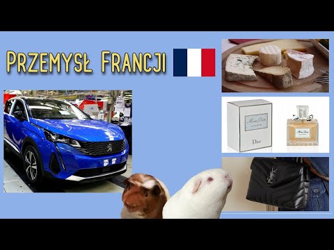 Wideo: Przemysł Francji (krótko). francuska specjalizacja przemysłowa