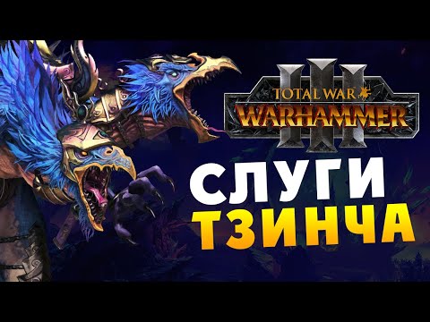 Видео: Тзинч - кампания Кайроса Судьбоплёта в Total War Warhammer 3 на русском