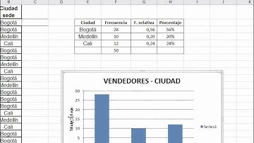 Manejo de variables cualitativas en Excel