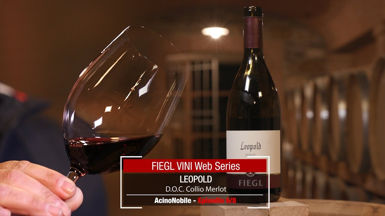 Fiegl: Leopold Merlot Collio DOCG