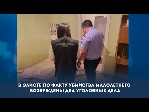 В Элисте по факту убийства малолетнего возбуждены два уголовных дела