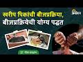 Seed Treatment: ज्वारी, बाजरी, मका, तूर, उडिद, मूग, भूईमूग बियाण्यांची बीजप्रक्रिया कशी करावी?
