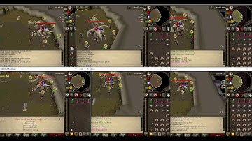 P4GY Corp Pet Alting!!