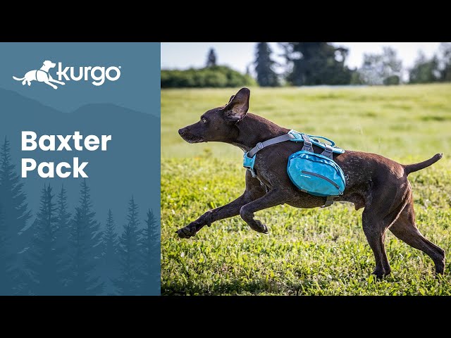 Kurgo Baxter Blue Dog Backpack, Large