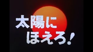 太陽にほえろ! メイン・テーマ 井上堯之バンド(高音質)