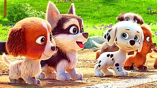 How Baby Pups became The PAW Patrol 🐕❤️ | PAW Patrol: The Dino Movie | CLIP