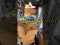 Sale sale Sega shoes #Sega shoes# sports shoes #running shoes