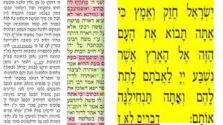 הדף היומי סנהדרין ח׳ 8 שני א׳ אב  תשע״ז להצלחת שמעון נבון בן שמואל