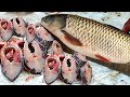 Perfect Rohu Fish Cutting Fillet with Skin | Big Fish World