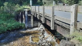 Artificial dams blocking fish passage