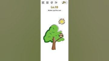 Brain Out level 10 - Wake up the Owl