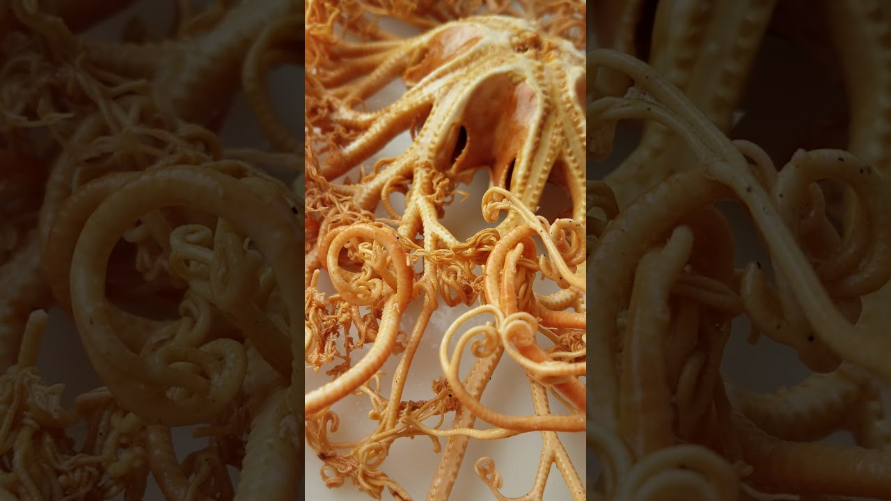 Basket Sea Star up close