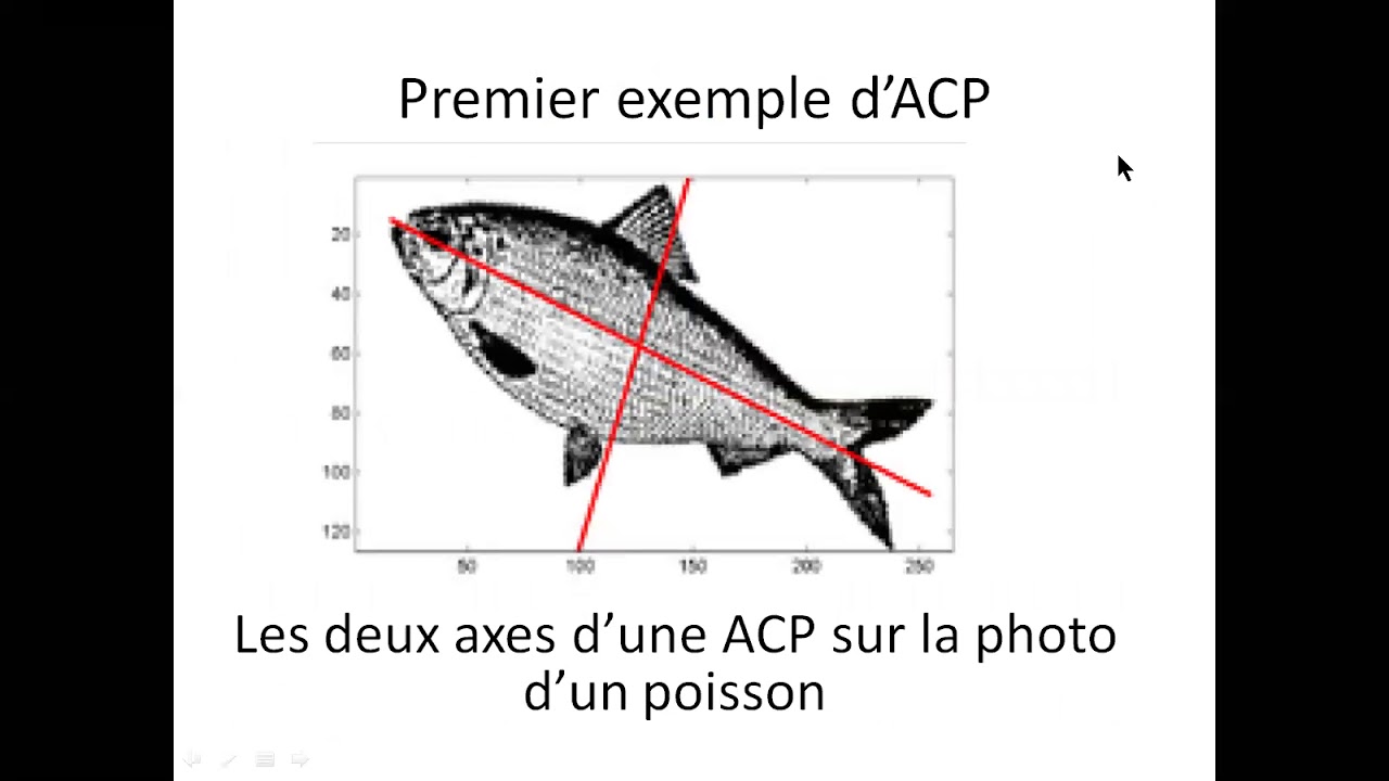 Analyse en composantes principales (ACP) PART 1