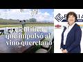 La científica española detrás del estudio que dio prestigio internacional al vino de Querétaro 🍷🇲🇽