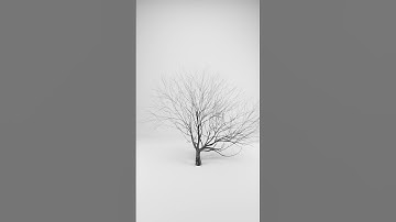 Self-organizing trees constructed using the space-colonization algorithm by Palubicki et al (2009)