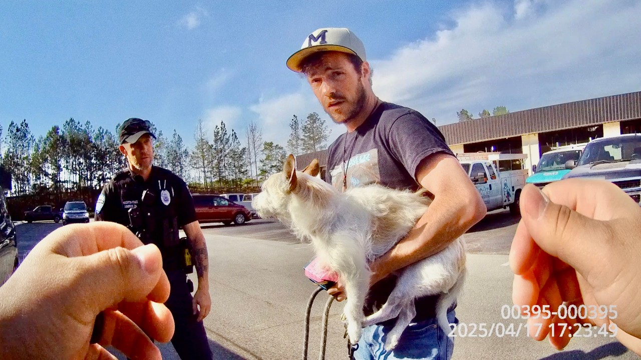 $1700 Dog Sale Turns Violent After Man Pulls Gun and Fires Warning Shot