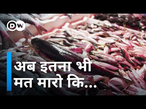 वीडियो: क्या मछली स्वयं निषेचित कर सकती है?