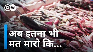 क्या हमेशा मिलेंगी खाने को मछलियां [Can eating fish be sustainable?]