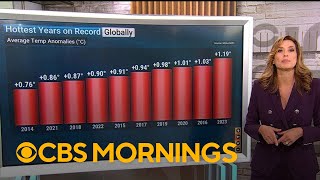 Summer months were warmest on record globally, data shows